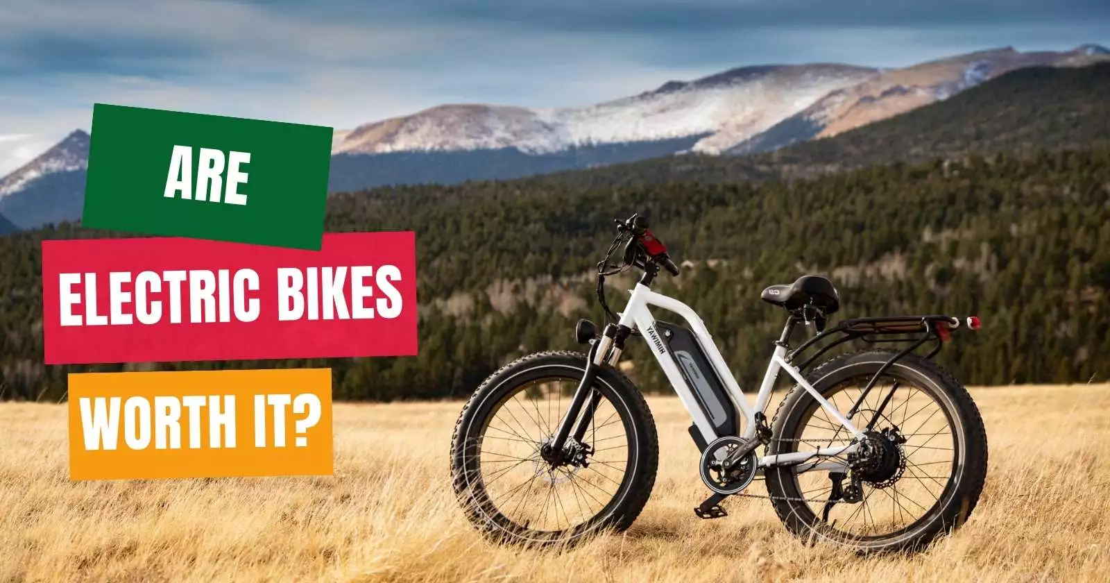 Are Electric Bikes Worth It? » Bikevela