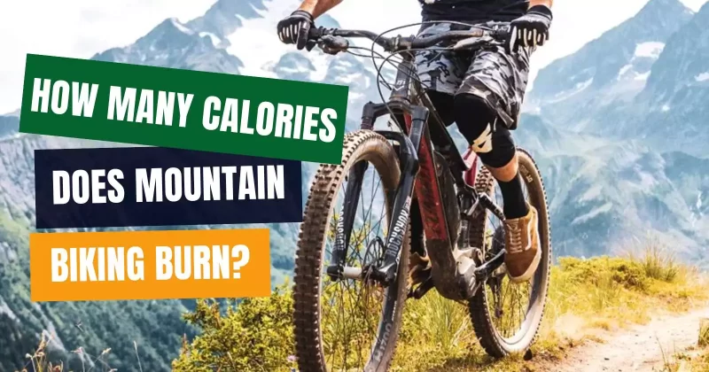 How Many Calories Does Mountain Biking Burn