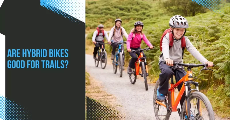 Are Hybrid Bikes Good For Trails