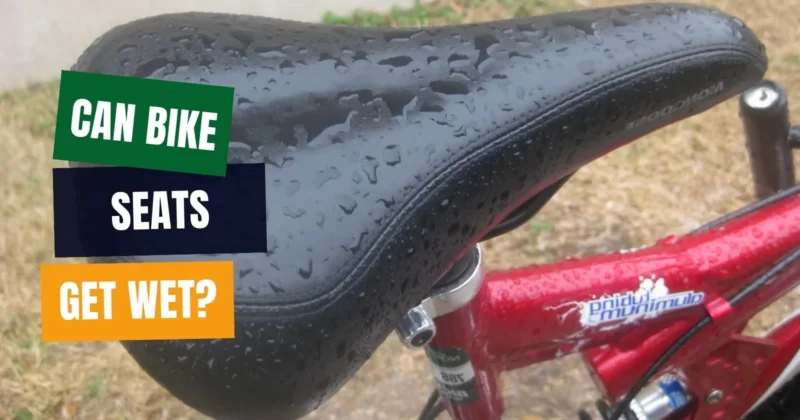 Can Bike Seats Get Wet
