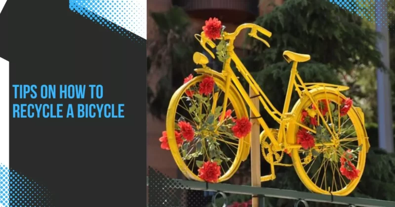 How to Recycle a Bicycle