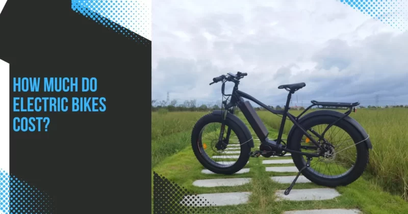 How Much Do Electric Bikes Cost