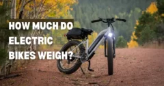 How Much Do Electric Bikes Weigh