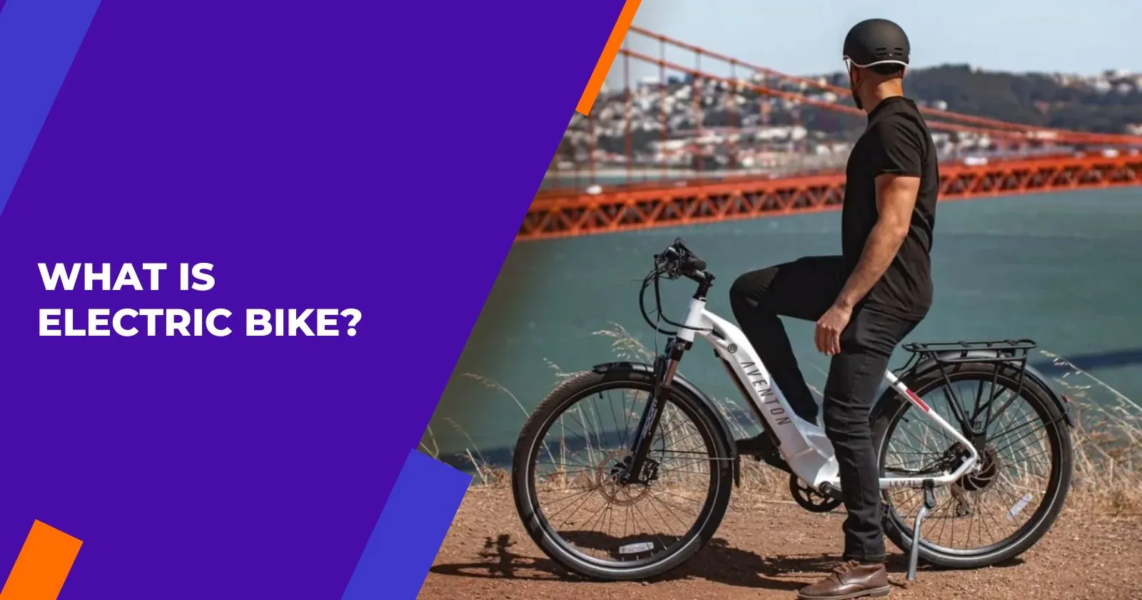 What Is Electric Bike? » Bikevela